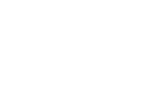 logo Impactessence icone blanc